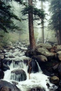 Foggy Morning Waterfall